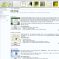 Web-Design